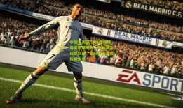 中国竞彩网|沧州雄狮财务困境现曙光，拖欠资金逐步到位，团队内部达成和解协议